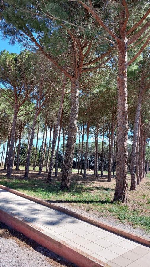 Cocon De Douceur A 10 Min De La Plage Alénya Екстериор снимка
